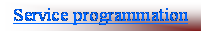 Zone de Texte: Service programmation